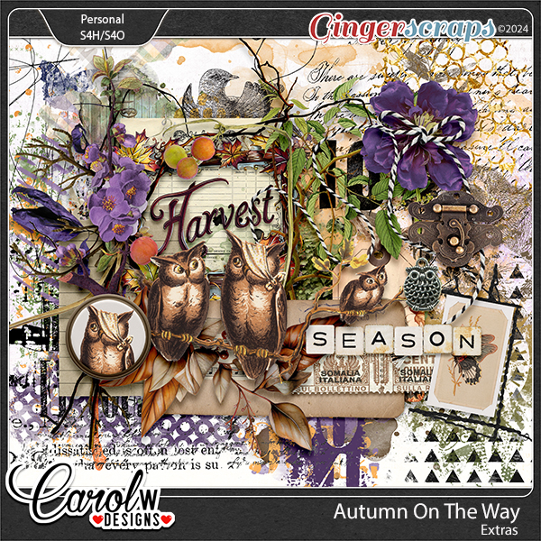 Autumn On The Way-Extras