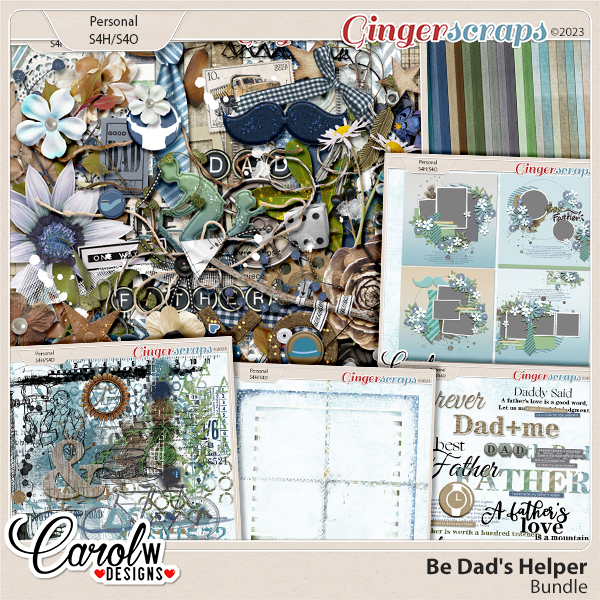 Be Dad's Helper-Bundle