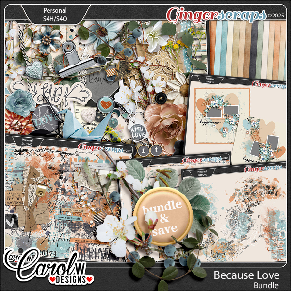 Because Love-Bundle