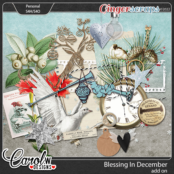 Blessing In December-Add On