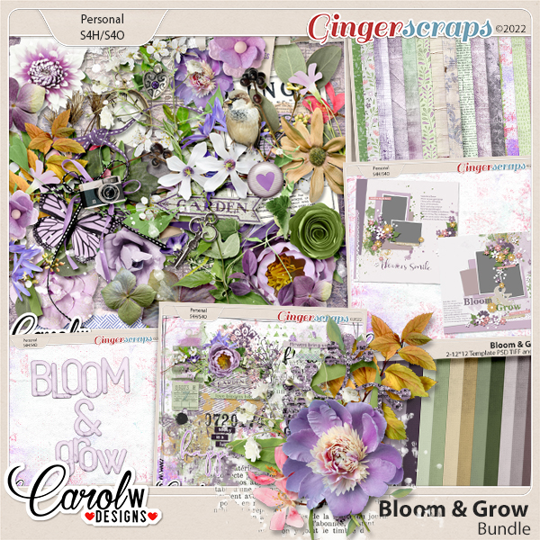 Bloom & Grow-Bundle ONLY CT