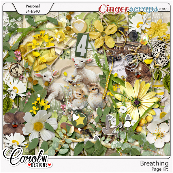 Breathing-Page Kit