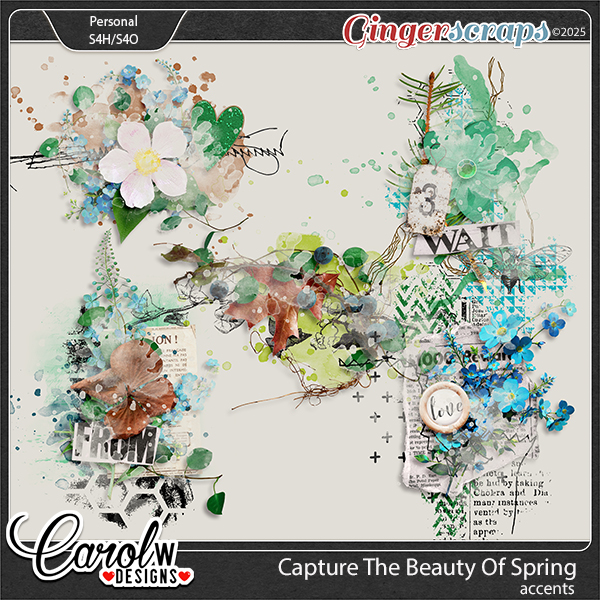 Capture the beauty of spring-Accents