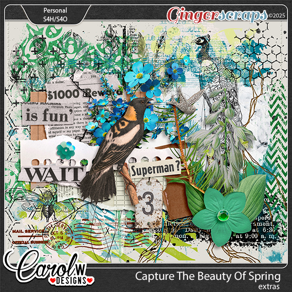 Capture the beauty of spring-Extras