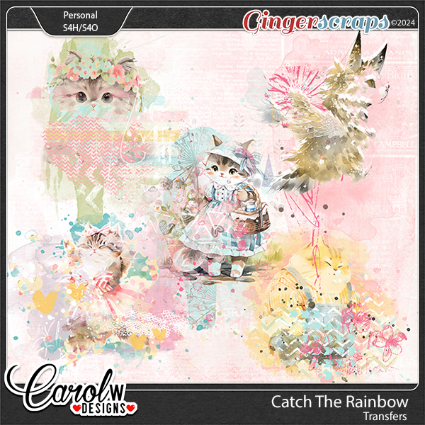 Catch The Rainbow-transfers