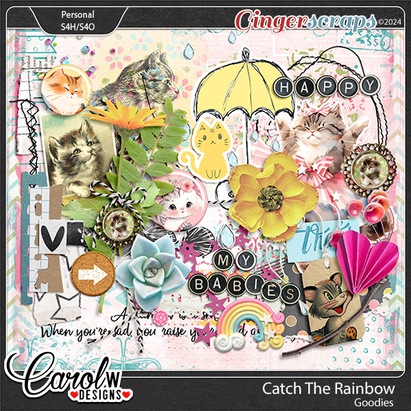 Catch The Rainbow-Goodies