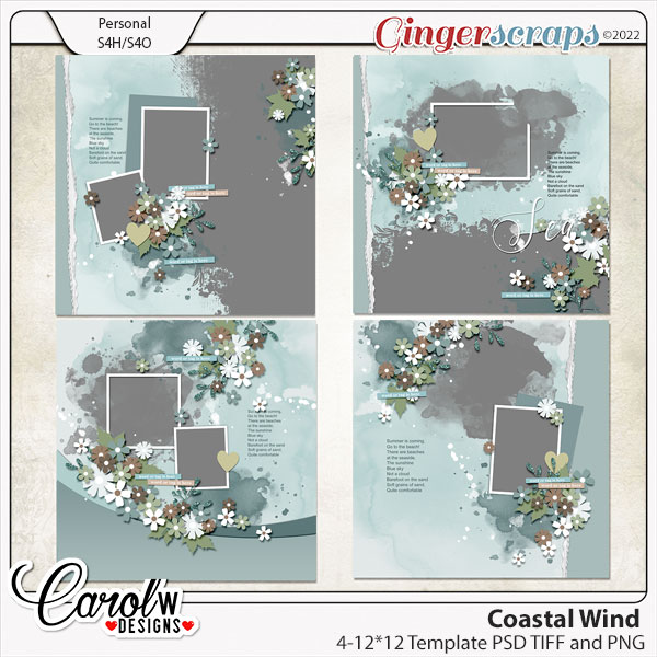 Coastal Wind-Template
