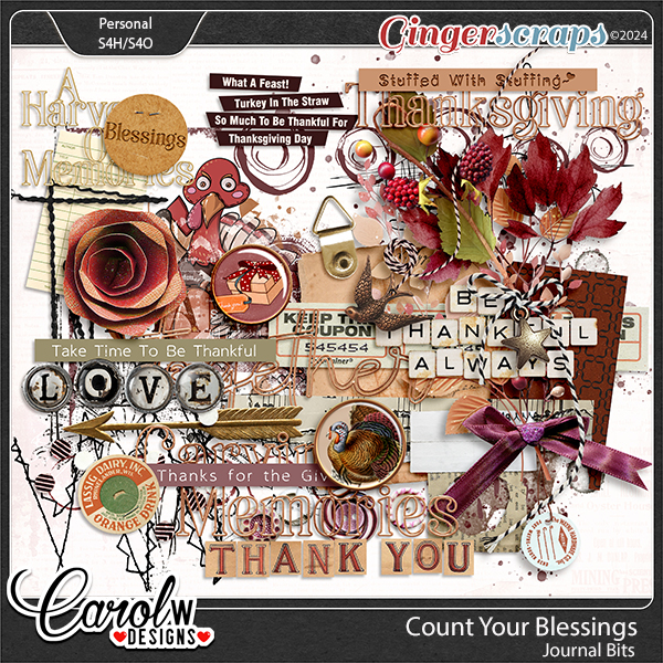 Count Your Blessings-Journal Bits