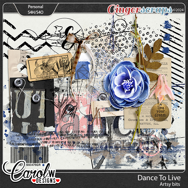 Dance To Live-Artsy bits