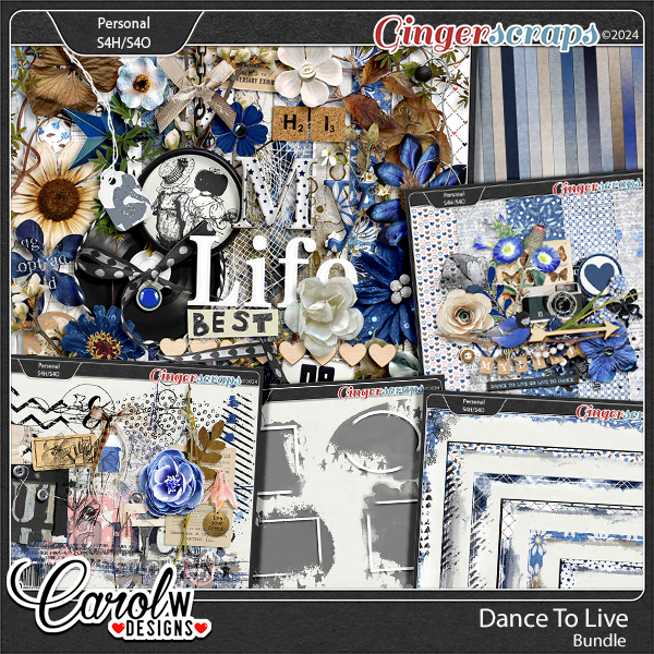 Dance To Live-Bundle