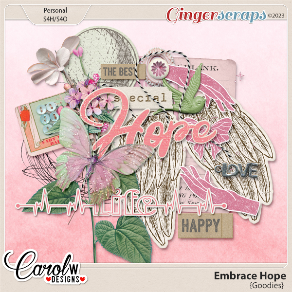 Embrace Hope-Add On