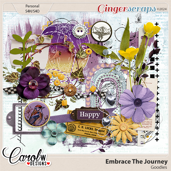 Embrace the Journey-Goodies