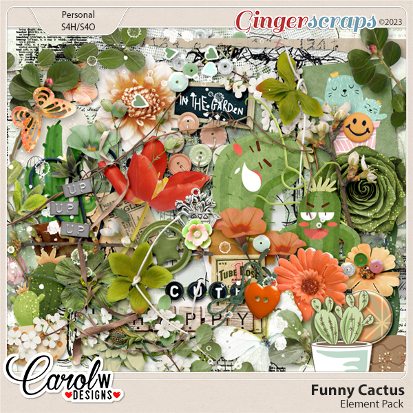 Funny Cactus-Element Pack