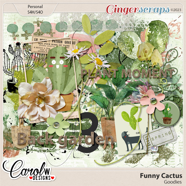 Funny Cactus-Goodies