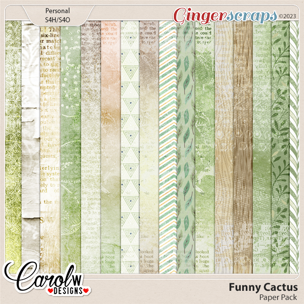 Funny Cactus-Paper Pack