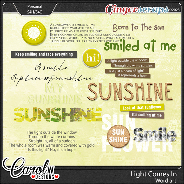 Light Comes in-Word art