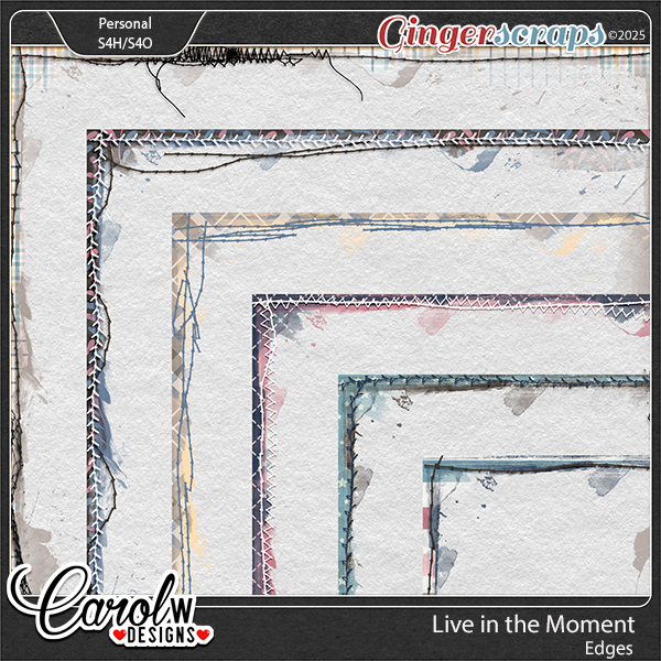Live in the Moment-Edges