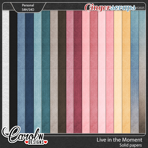 Live in the Moment-Solid paper