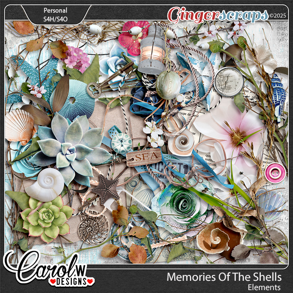 Memories Of The Shells-Elements