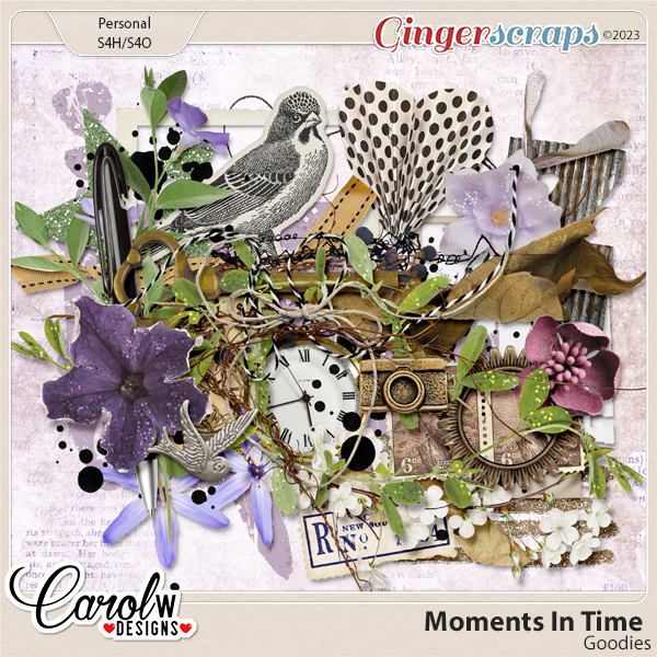 Moments In Time-goodies