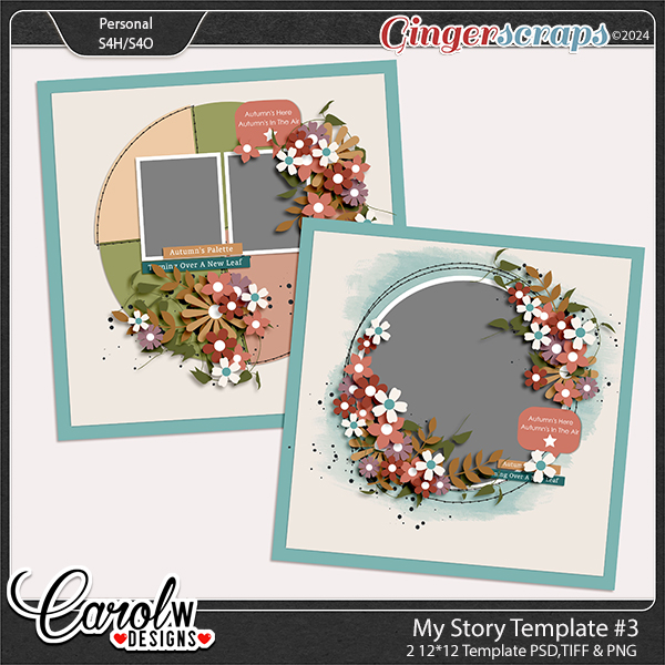 My Story-Template #3