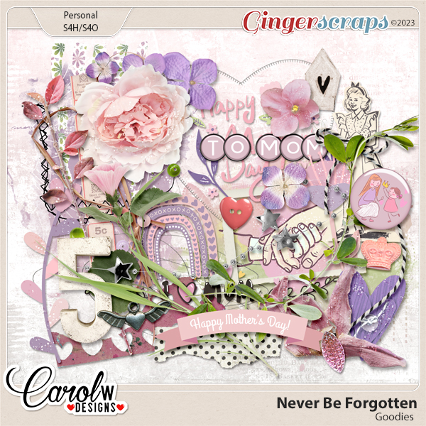 Never Be Forgotten-Goodies