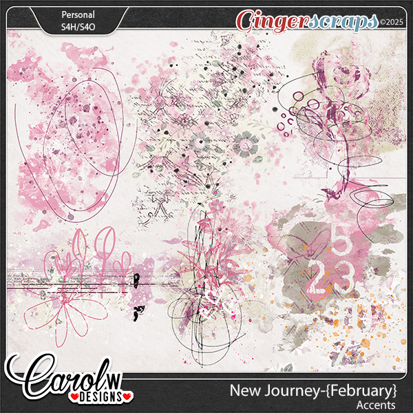 New Journey-{February} -Accents