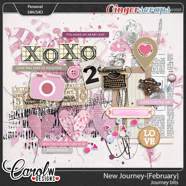 New Journey-{February}-Journey Bits