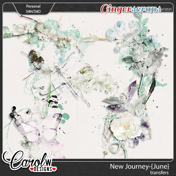 New Journey-{June}-transfers
