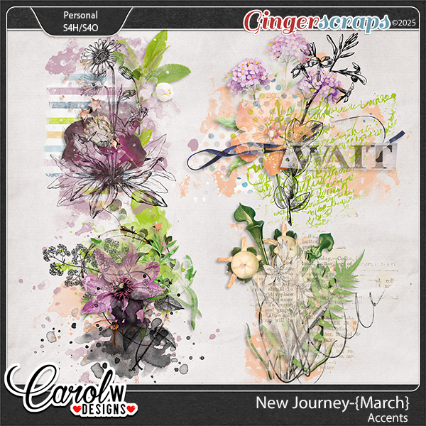 New Journey-{March} -Accents
