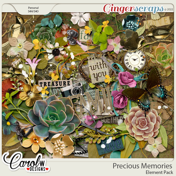 Precious Memories-Element Pack