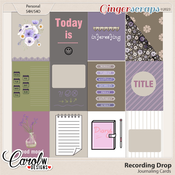 Recording Drop-Journaling Card