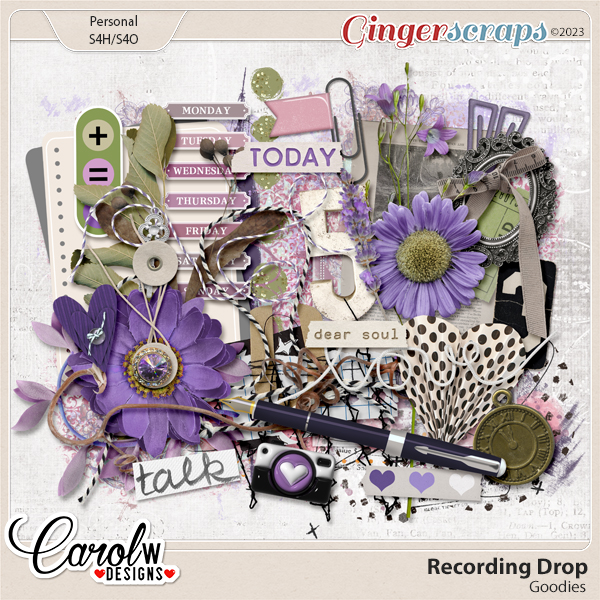 Recording Drop-Goodies