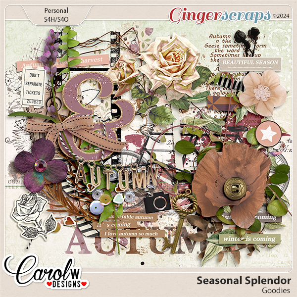 Seasonal Splendor-Goodies