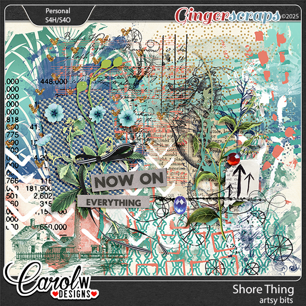 Shore Thing-Artsy bits