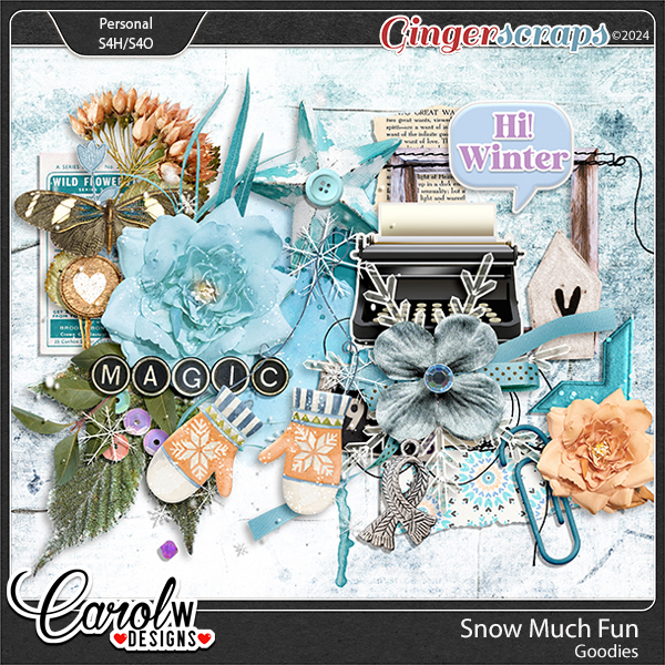 Snow Much Fun-Goodies