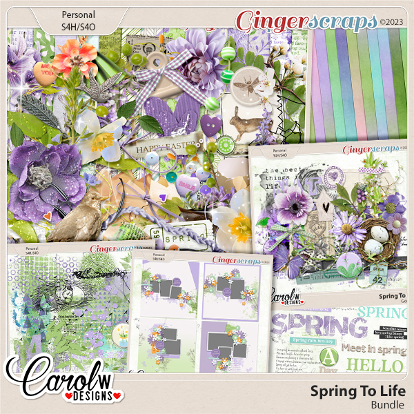 Spring To Life-Bundle ONLY CT