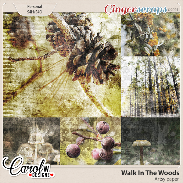 Walk In The Woods-Artsy paper
