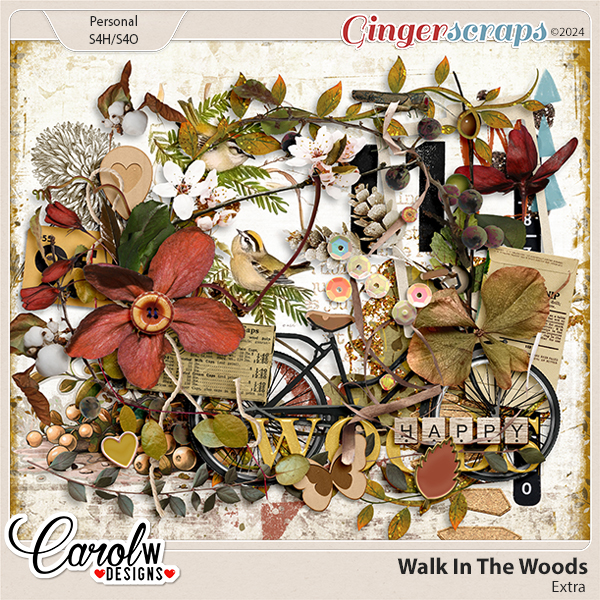 Walk In The Woods-Extras