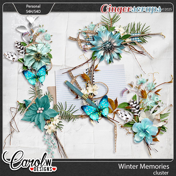 Winter Memories-Clusters