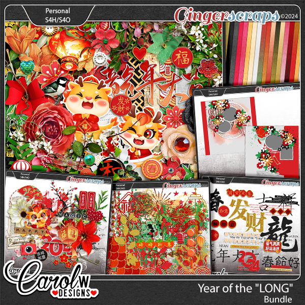 Year of the "LONG"-Bundle