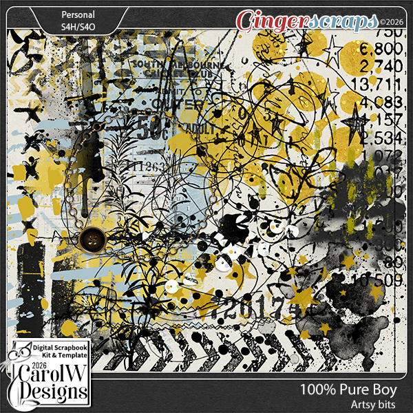 100% Pure Boy-Artsy bits
