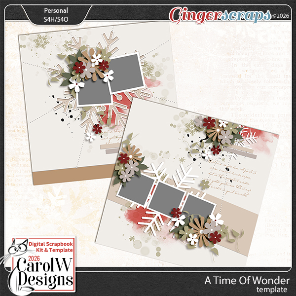 A Time Of Wonder-Template