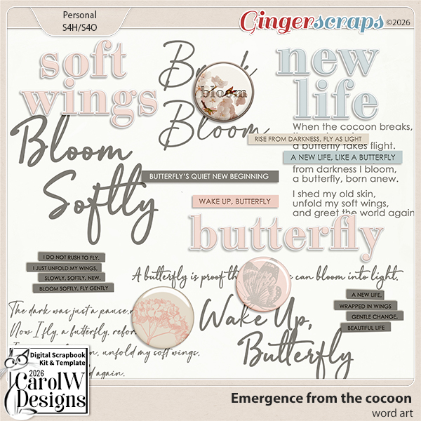 Emergence from the cocoon-Word art