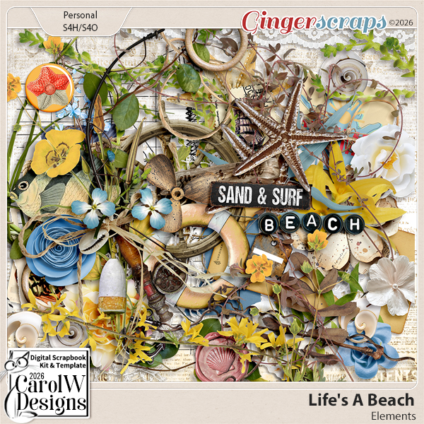 Life's A Beach-Elements