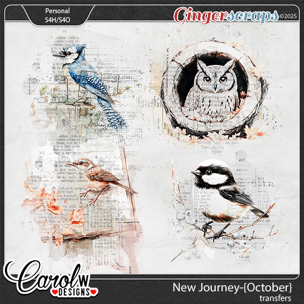 New Journey-{October}-transfers