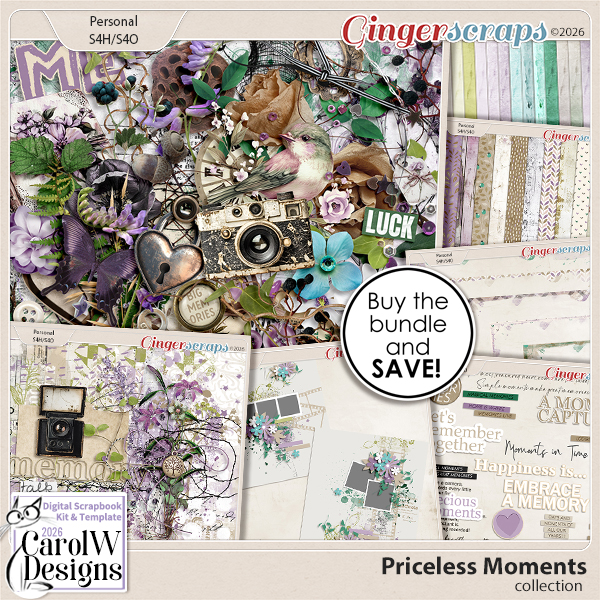 Priceless Moments Collection
