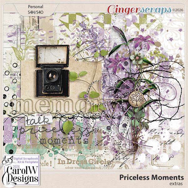 Priceless Moments Extras