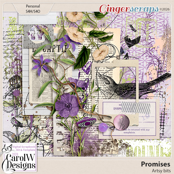 Promises-Artsy bits