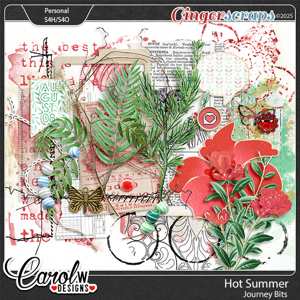 Hot Summer-Journey Bits